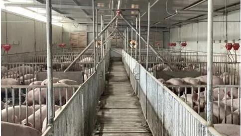 (达能集团)乐百氏食品饮料有限公司 福建 招聘_邛崃达能集团招聘_中国达能饮料邛崃工厂