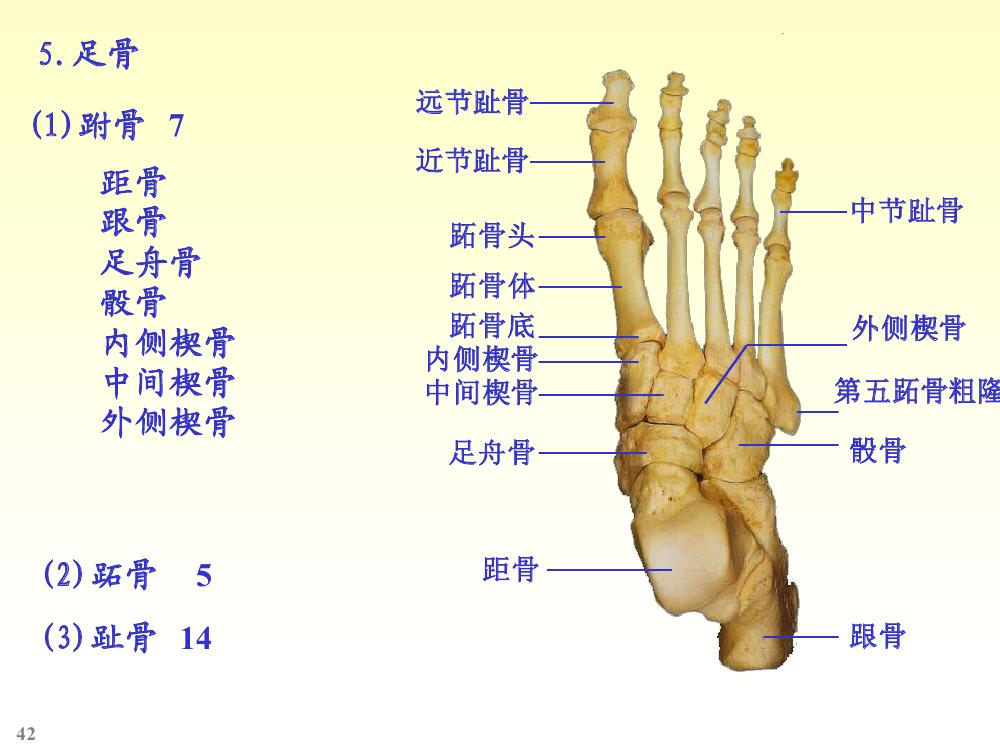 简阳唯品会招聘_唯品团和唯品会一样吗_唯品会简阳招聘