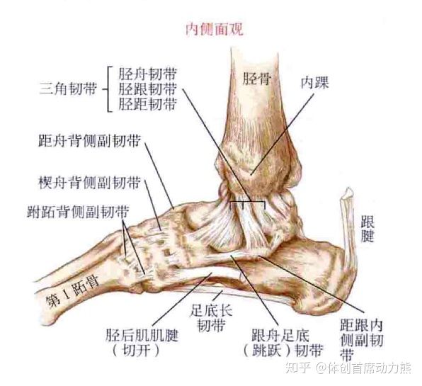 简阳唯品会招聘_唯品会简阳招聘_唯品团和唯品会一样吗