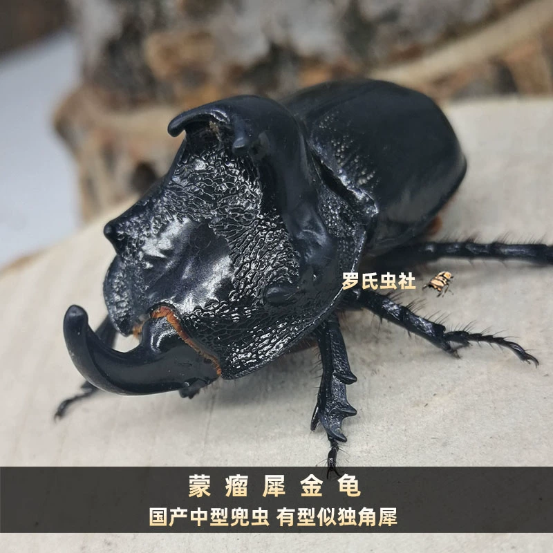 成都宠物店招聘_成都宠物店招聘信息_成都宠物店兼职