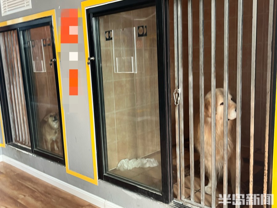 成都宠物店招聘_成都宠物店兼职_成都宠物招聘信息