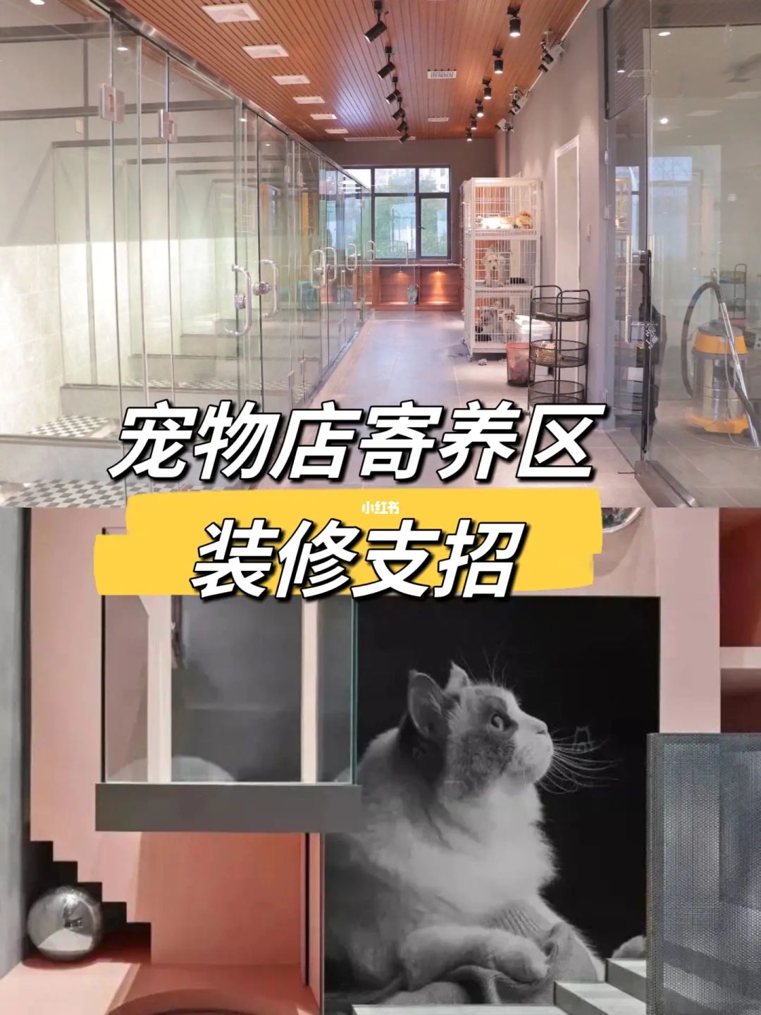 成都宠物招聘信息_成都宠物店兼职_成都宠物店招聘