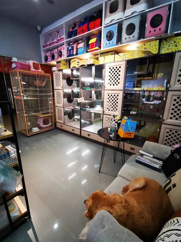 成都宠物店兼职_成都宠物店招聘_成都宠物招聘信息