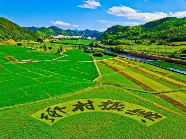 成都农业科技职业技术学院图片_成都农业科技职业学院校园图_成都农业科技学院图片