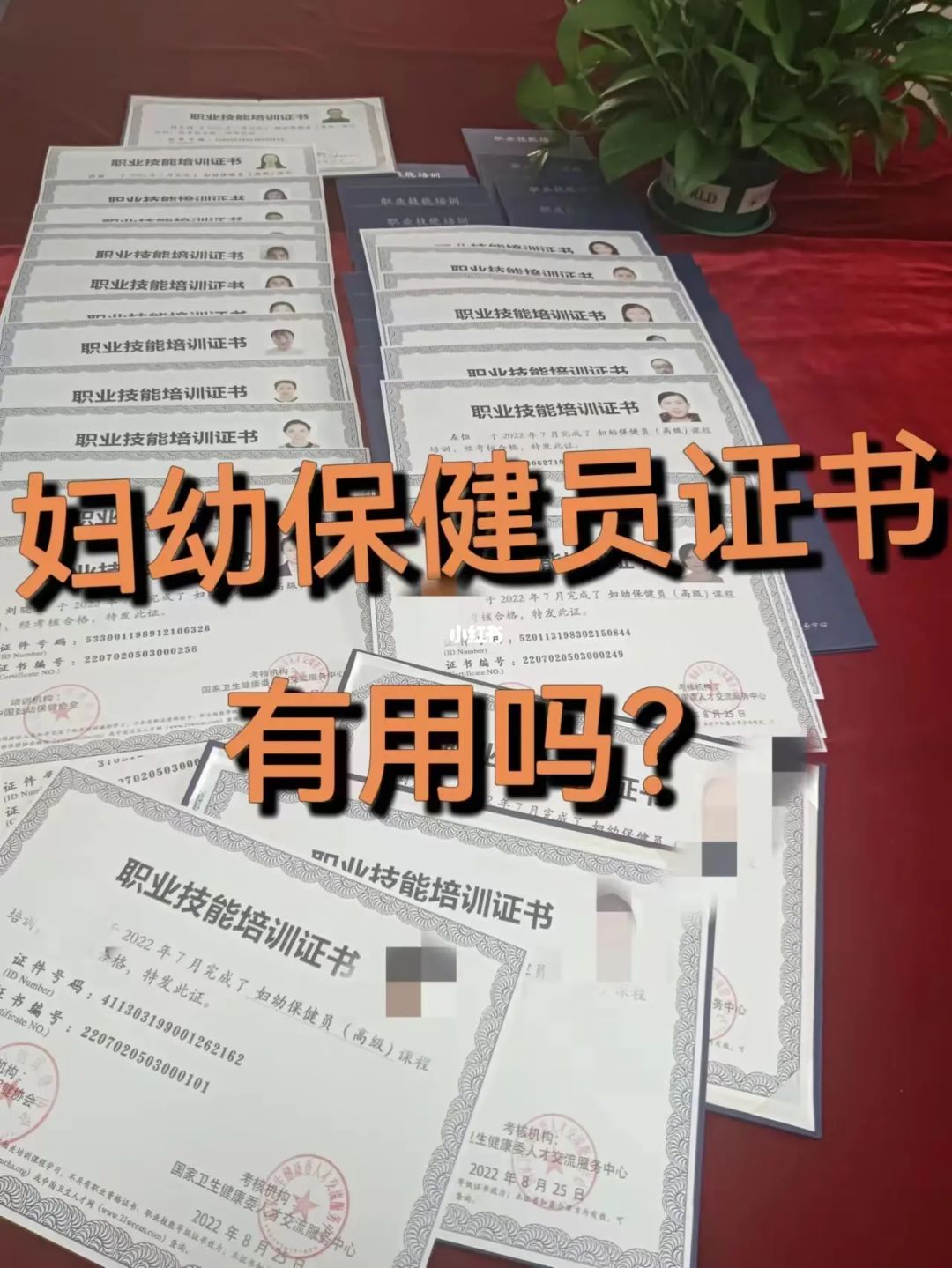 邛崃市城区四所新建公办公益性幼儿园工作人员招聘公告