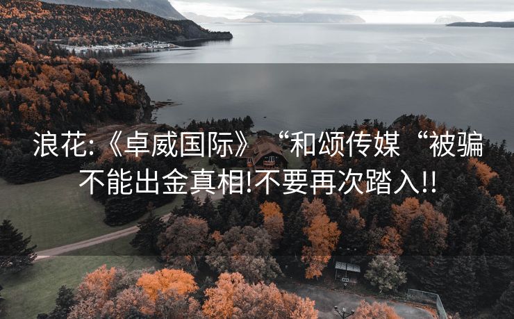 浪花:《卓威国际》“和颂传媒“被骗不能出金真相!不要再次踏入!!