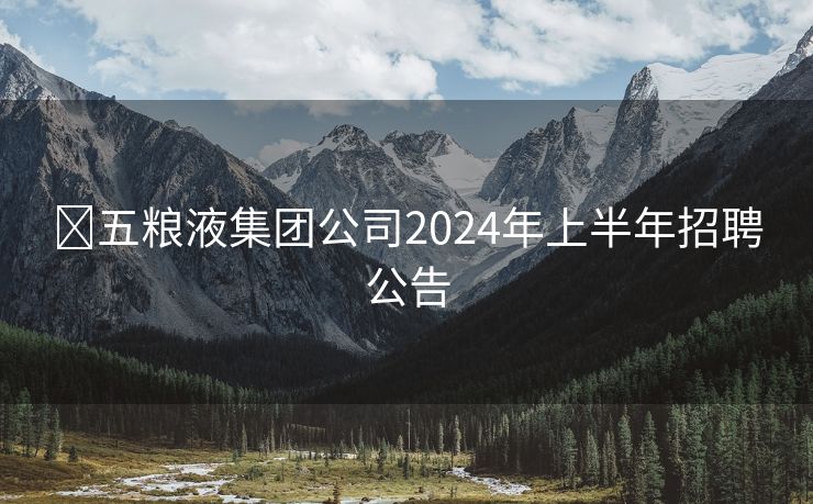 ​五粮液集团公司2024年上半年招聘公告