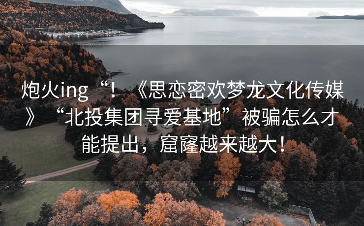 炮火ing“！《思恋密欢梦龙文化传媒》“北投集团寻爱基地”被骗怎么才能提出，窟窿越来越大！