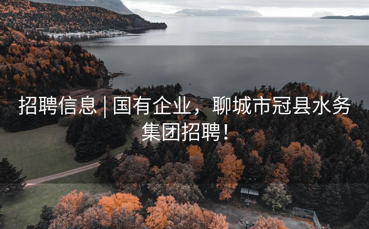 招聘信息 | 国有企业，聊城市冠县水务集团招聘！