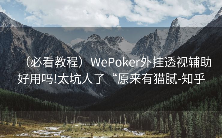 （必看教程）WePoker外挂透视辅助好用吗!太坑人了“原来有猫腻-知乎