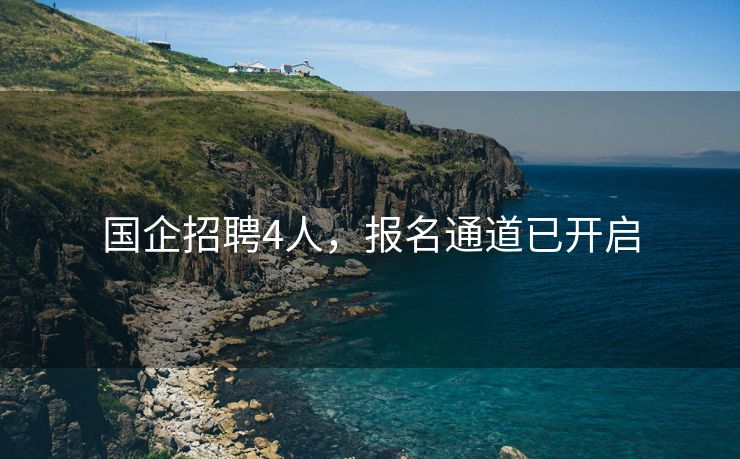 国企招聘4人，报名通道已开启
