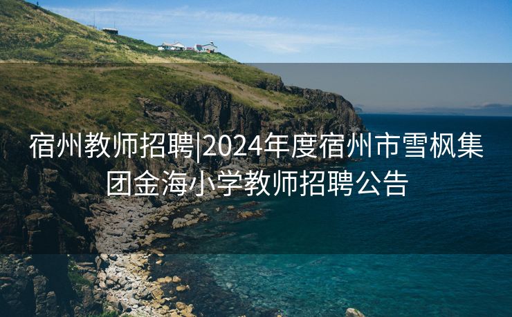 宿州教师招聘|2024年度宿州市雪枫集团金海小学教师招聘公告