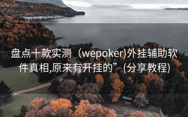 盘点十款实测（wepoker)外挂辅助软件真相,原来有开挂的”(分享教程)