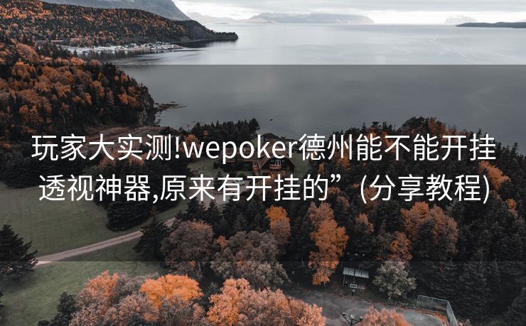 玩家大实测!wepoker德州能不能开挂透视神器,原来有开挂的”(分享教程)