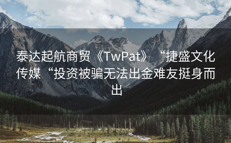泰达起航商贸《TwPat》“捷盛文化传媒“投资被骗无法出金难友挺身而出