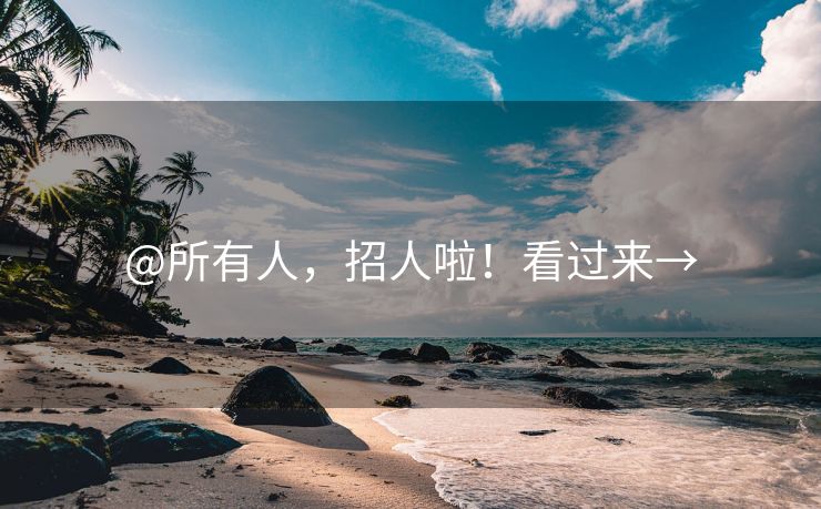 @所有人，招人啦！看过来→
