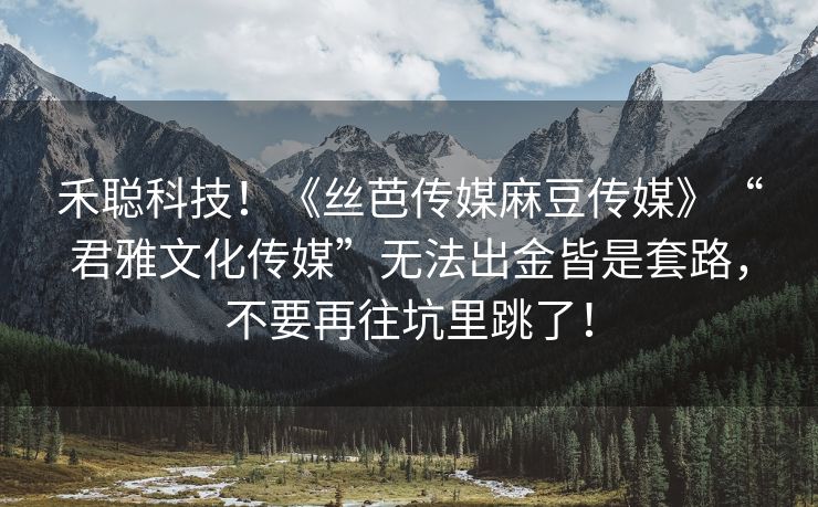禾聪科技！《丝芭传媒麻豆传媒》“君雅文化传媒”无法出金皆是套路，不要再往坑里跳了！