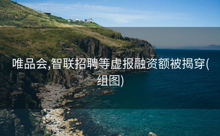 
唯品会,智联招聘等虚报融资额被揭穿(组图)