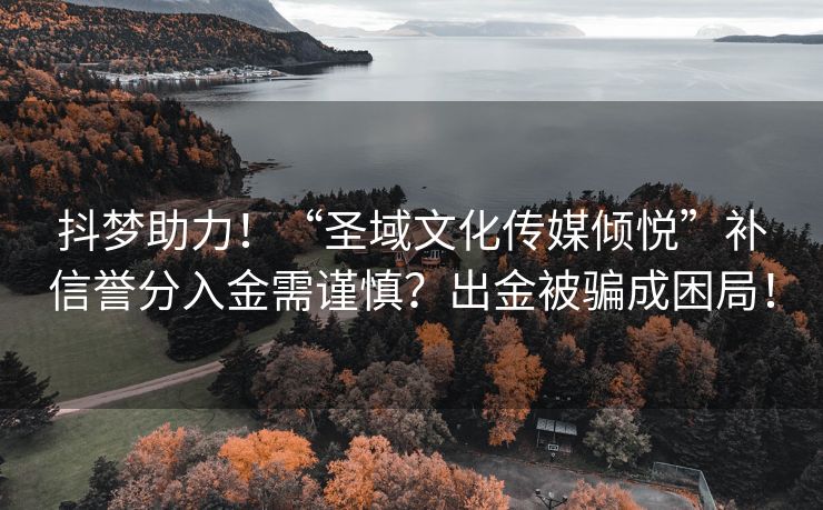抖梦助力！“圣域文化传媒倾悦”补信誉分入金需谨慎？出金被骗成困局！