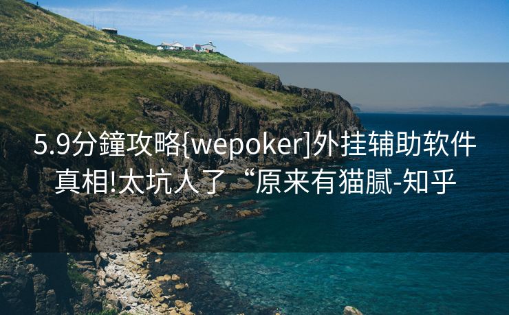 5.9分鐘攻略{wepoker]外挂辅助软件真相!太坑人了“原来有猫腻-知乎