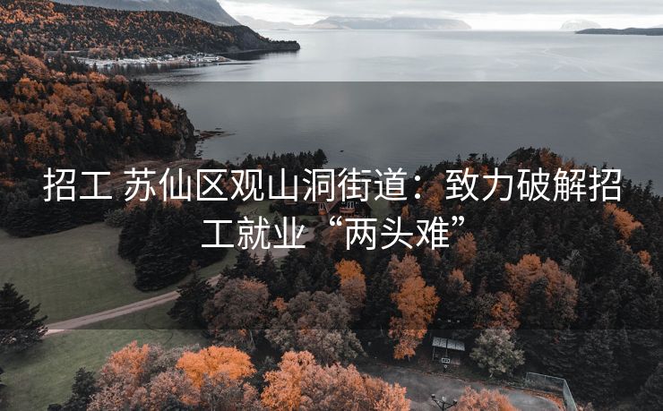 招工 苏仙区观山洞街道：致力破解招工就业“两头难”