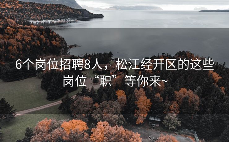 6个岗位招聘8人，松江经开区的这些岗位“职”等你来~
