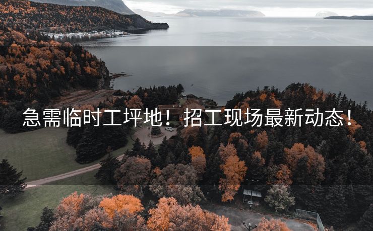 急需临时工坪地！招工现场最新动态！