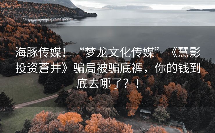海豚传媒！“梦龙文化传媒”《慧影投资蒼井》骗局被骗底裤，你的钱到底去哪了？！