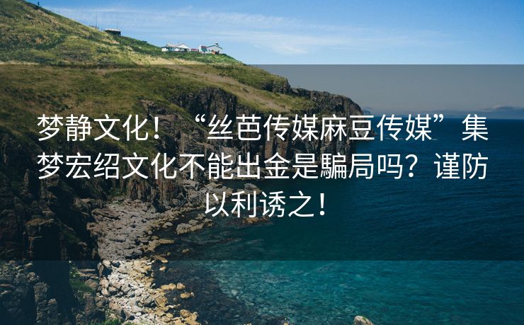 梦静文化！“丝芭传媒麻豆传媒”集梦宏绍文化不能出金是騙局吗？谨防以利诱之！