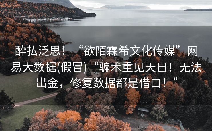 酔払泛思！“欲陌霖希文化传媒”网易大数据(假冒)“骗术重见天日！无法出金，修复数据都是借口！”