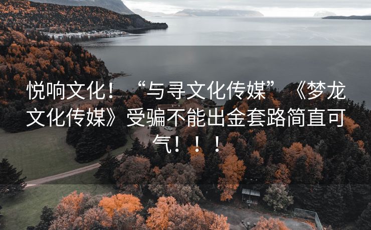 悦响文化！“与寻文化传媒”《梦龙文化传媒》受骗不能出金套路简直可气！！！