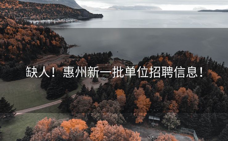缺人！惠州新一批单位招聘信息！