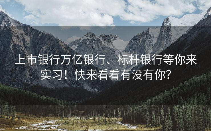 上市银行万亿银行、标杆银行等你来实习！快来看看有没有你？