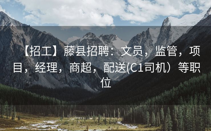 【招工】藤县招聘：文员，监管，项目，经理，商超，配送(C1司机）等职位
