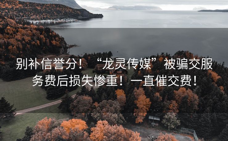 别补信誉分！“龙灵传媒”被骗交服务费后损失惨重！一直催交费！