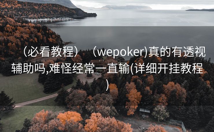 （必看教程）（wepoker)真的有透视辅助吗,难怪经常一直输(详细开挂教程)