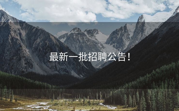最新一批招聘公告！