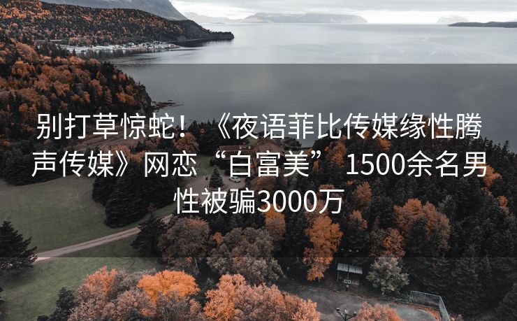 别打草惊蛇！《夜语菲比传媒缘性腾声传媒》网恋“白富美” 1500余名男性被骗3000万