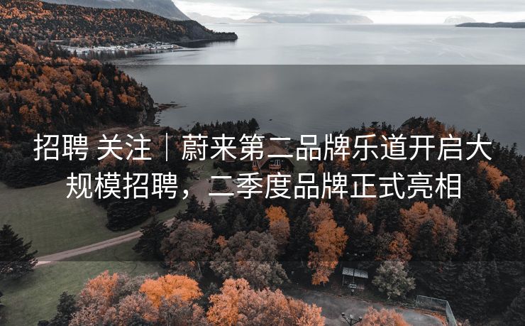招聘 关注｜蔚来第二品牌乐道开启大规模招聘，二季度品牌正式亮相