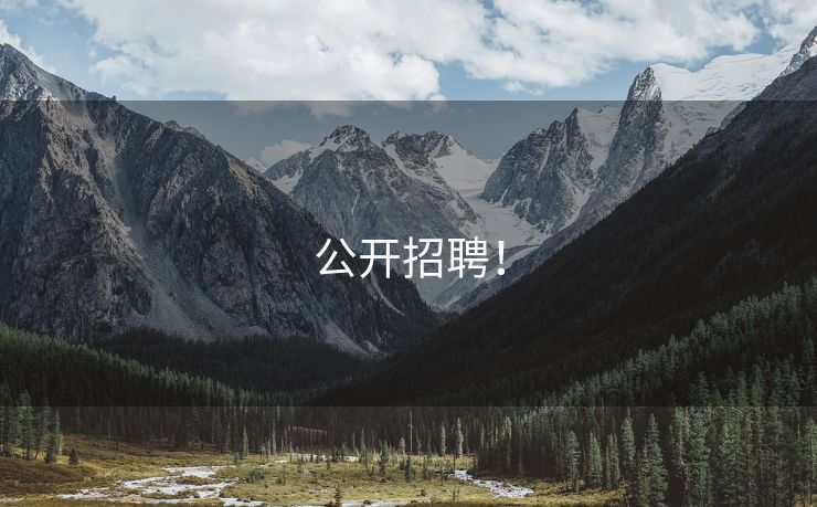 公开招聘！