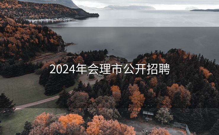 2024年会理市公开招聘