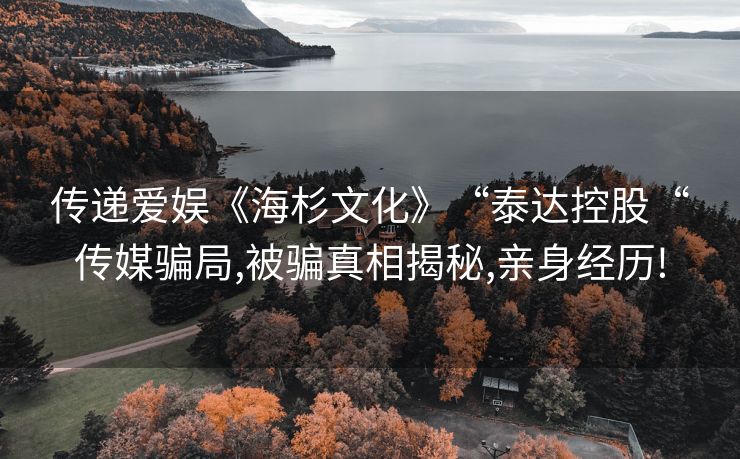 传递爱娱《海杉文化》“泰达控股“传媒骗局,被骗真相揭秘,亲身经历!