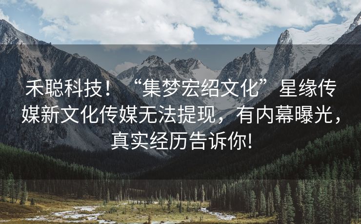 禾聪科技！“集梦宏绍文化”星缘传媒新文化传媒无法提现，有内幕曝光，真实经历告诉你!