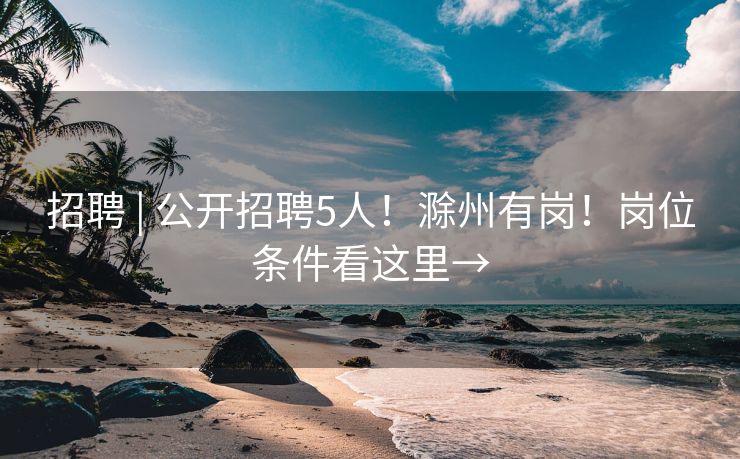 招聘 | 公开招聘5人！滁州有岗！岗位条件看这里→