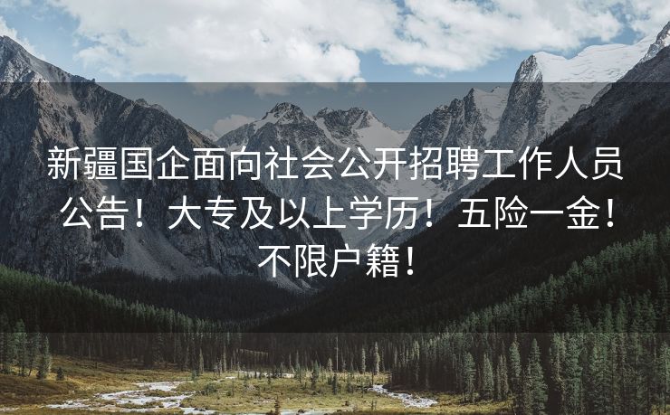 新疆国企面向社会公开招聘工作人员公告！大专及以上学历！五险一金！不限户籍！