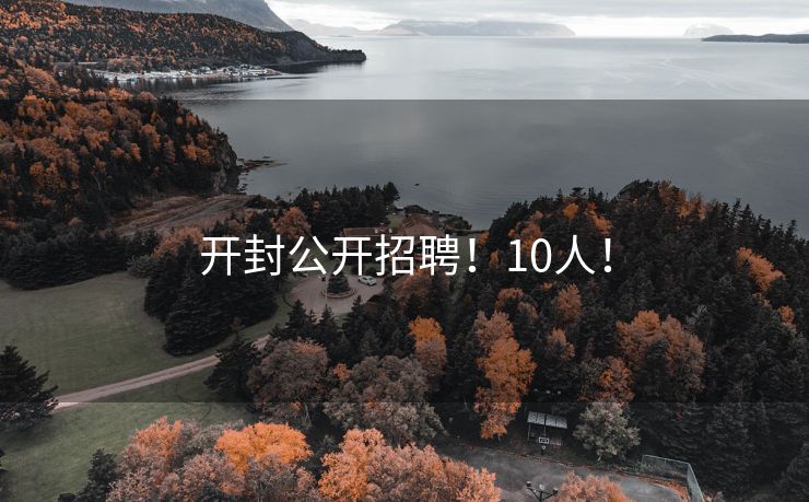 开封公开招聘！10人！