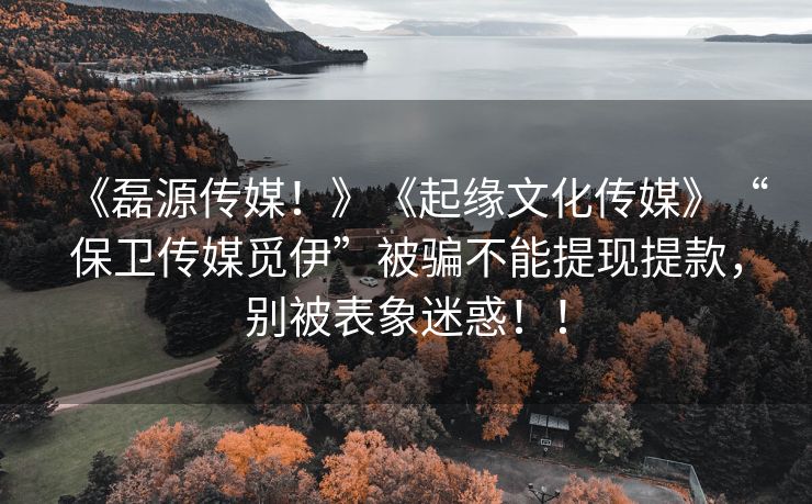 《磊源传媒！》《起缘文化传媒》“保卫传媒觅伊”被骗不能提现提款，别被表象迷惑！！