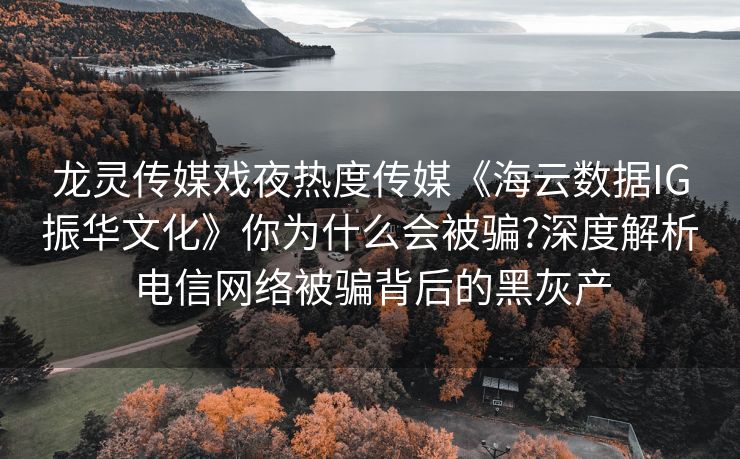 龙灵传媒戏夜热度传媒《海云数据IG振华文化》你为什么会被骗?深度解析电信网络被骗背后的黑灰产