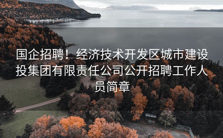 国企招聘！经济技术开发区城市建设投集团有限责任公司公开招聘工作人员简章