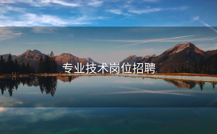 专业技术岗位招聘